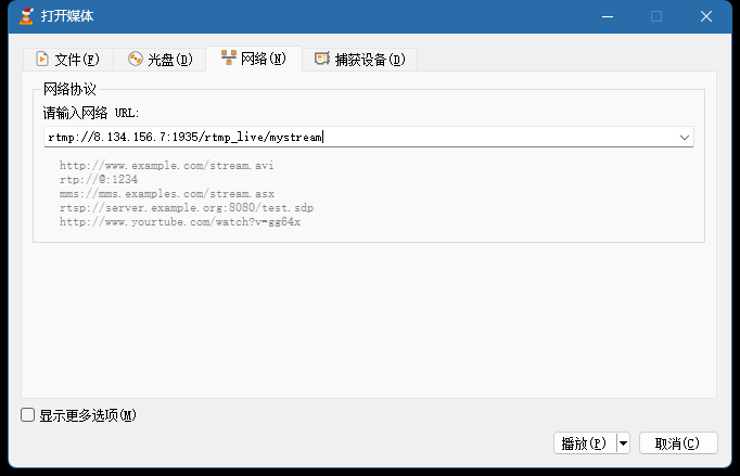 image-20241221134716141