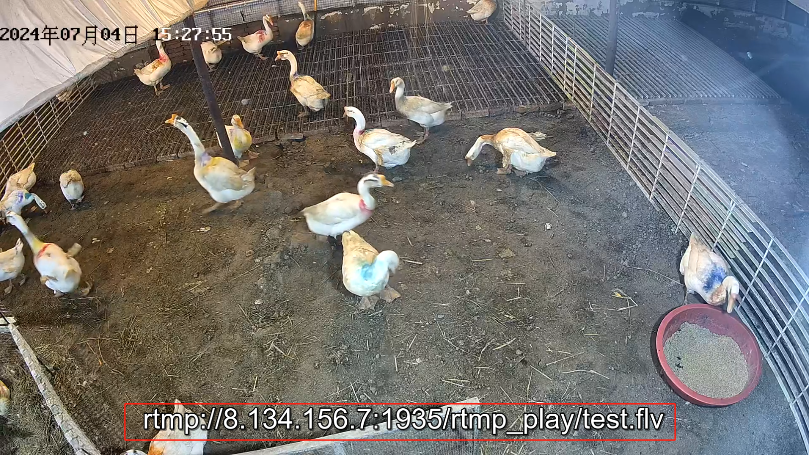 image-20241221135712904